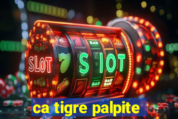 ca tigre palpite